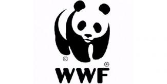 WWF Cymru